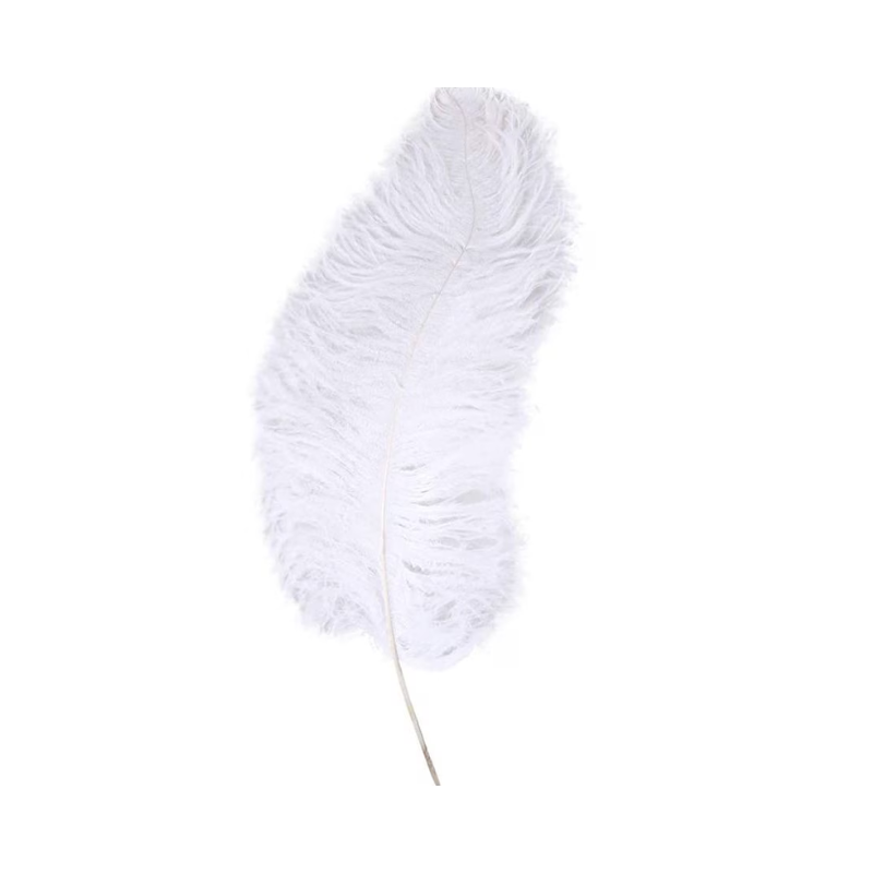 Feather Ostrich Prime Femina Plumes Festival Costumes Party Items