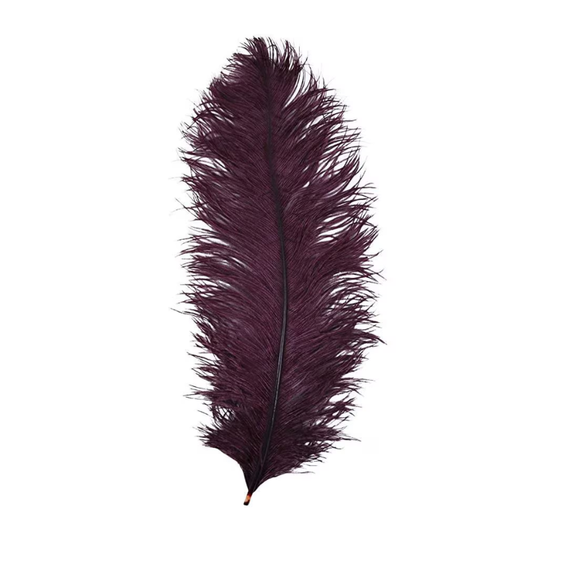 Feather Ostrich Prime Femina Plumes Festival Costumes Party Items