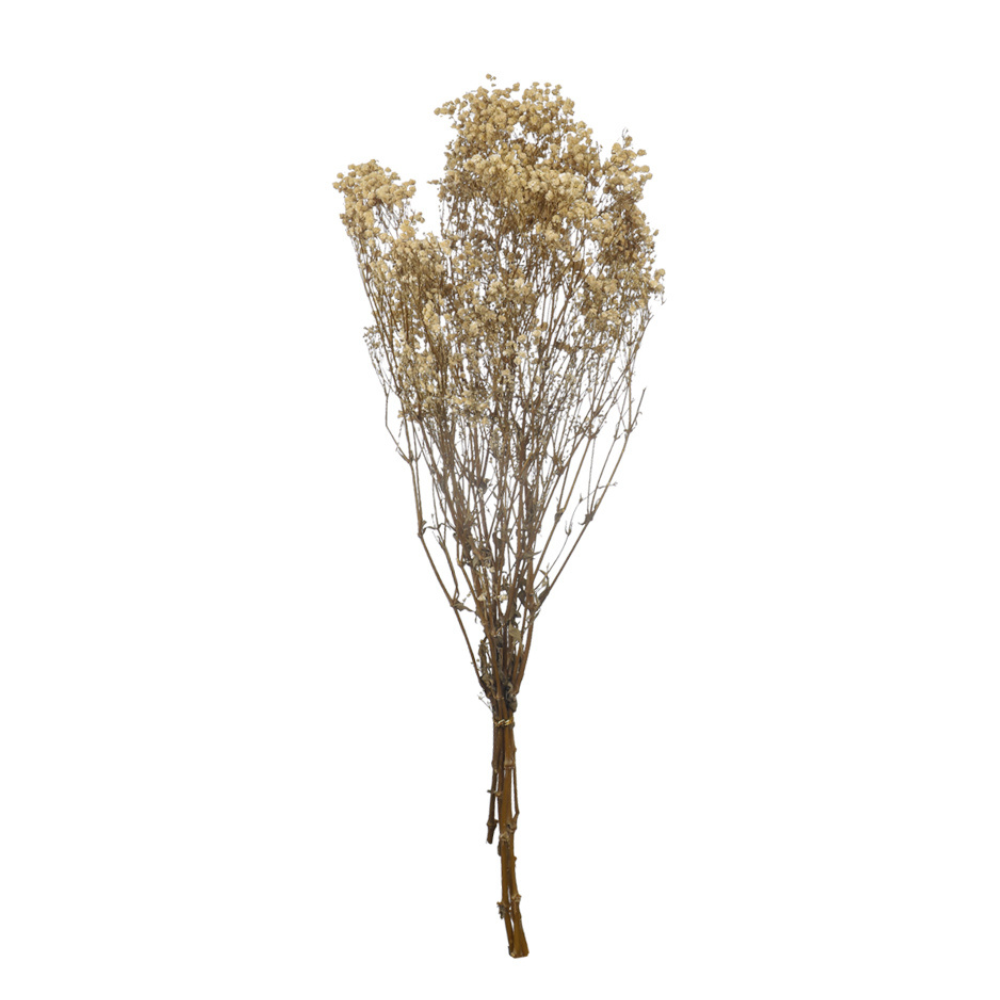 Natural bunches  Dried Gypsophila Flower