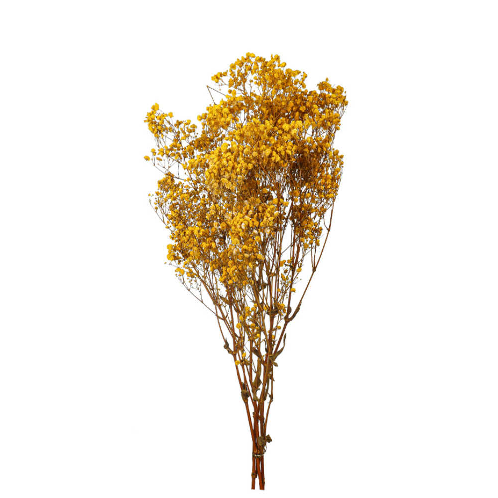 Natural bunches  Dried Gypsophila Flower
