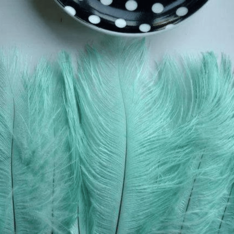 Artificial Feather Tiffany Color Pack - Al Ghani Stores