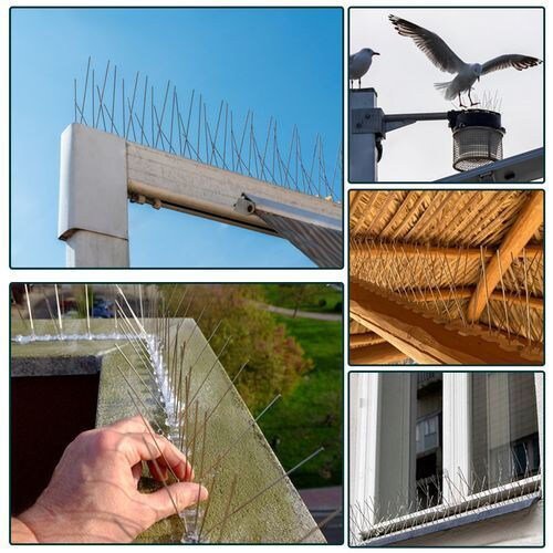 Bird Spikes for Pigeons Stainless Steel Bird & Pigeon Birds pickels Pack Of 10 Pc - Al Ghani Stores