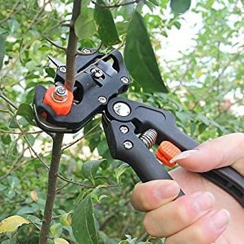 Garden Grafting Pruning Pruner Tool Kit Plant Branch - Al Ghani Stores