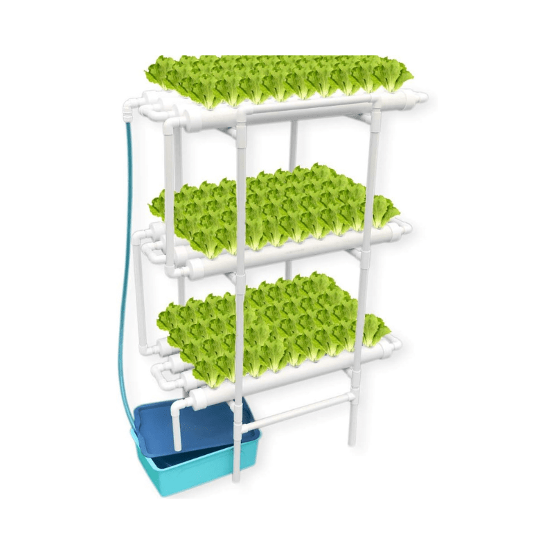 Hydroponic 54 Holes Plant Site Grow Kit Hydroponics Growing System Garden System Vegetable Horizonal - Al Ghani Stores