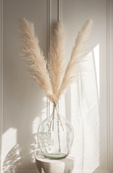 Natural Beige Dried Flower Pampas 1 pcs Perfect for home decor 150 cm - Al Ghani Stores