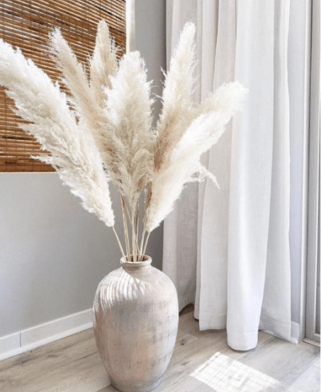 Natural Beige Dried Flower Pampas 1 pcs Perfect for home decor 150 cm - Al Ghani Stores