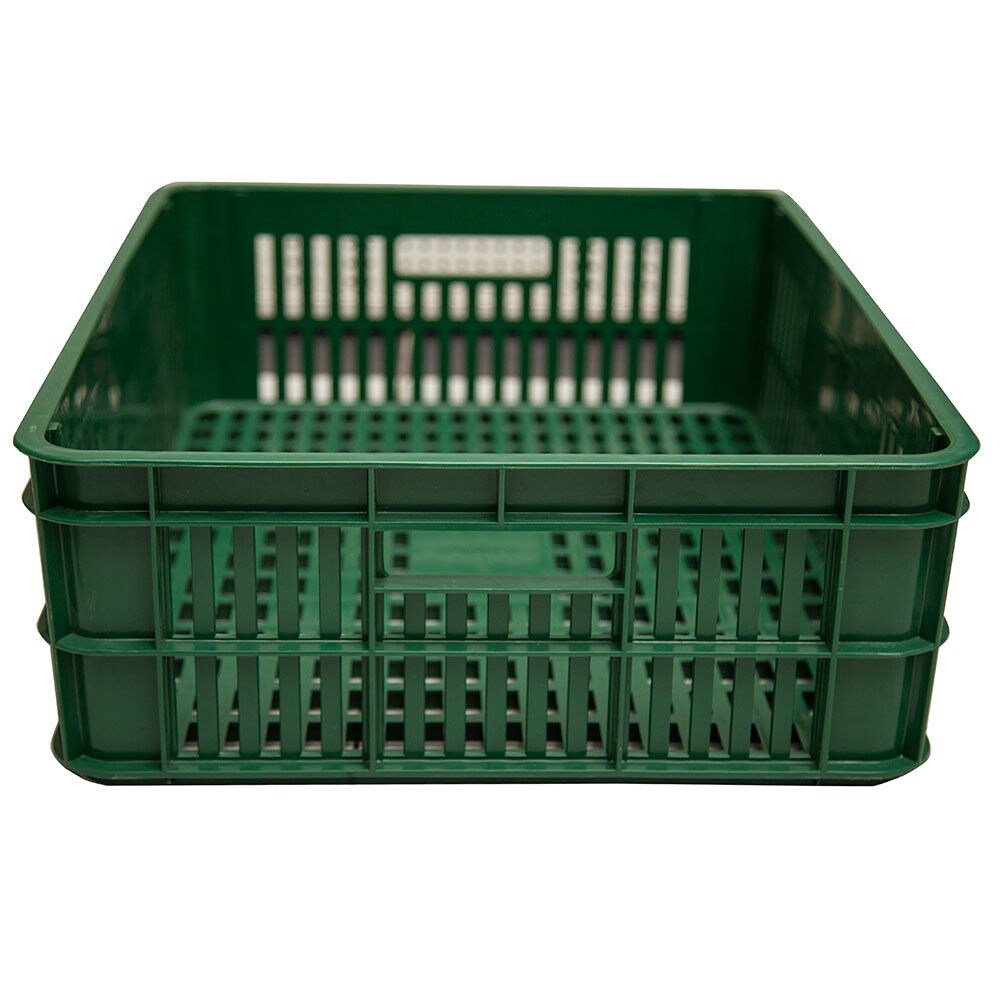 Plastic Tray Box Crates With Holes Rectangular Shape - Green - Al Ghani Stores
