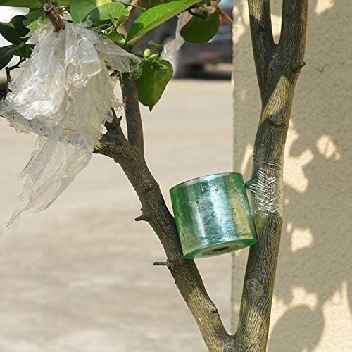 Self Adhesive Grafting Tape for Nursery Gardening - 4 pcs - Al Ghani Stores